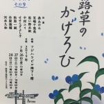 Thumbnail of post image 058